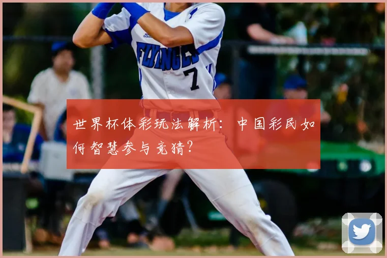 世界杯体彩玩法解析：中国彩民如何智慧参与竞猜？