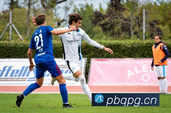 星空网官网服务体系